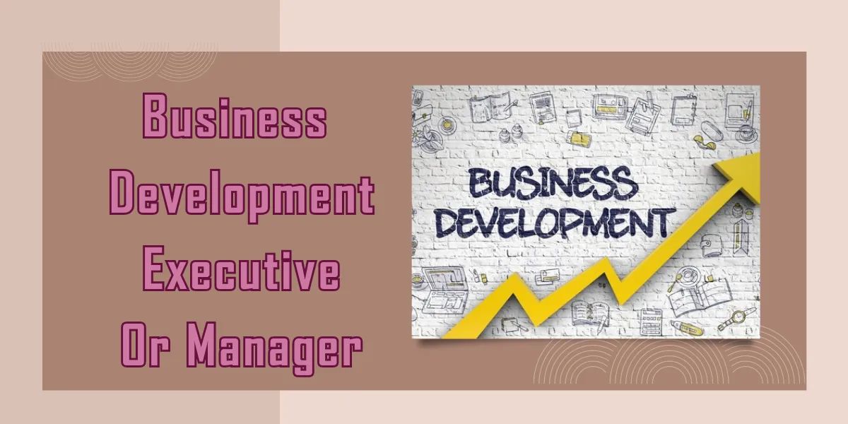 Business Development Executive Or Manager