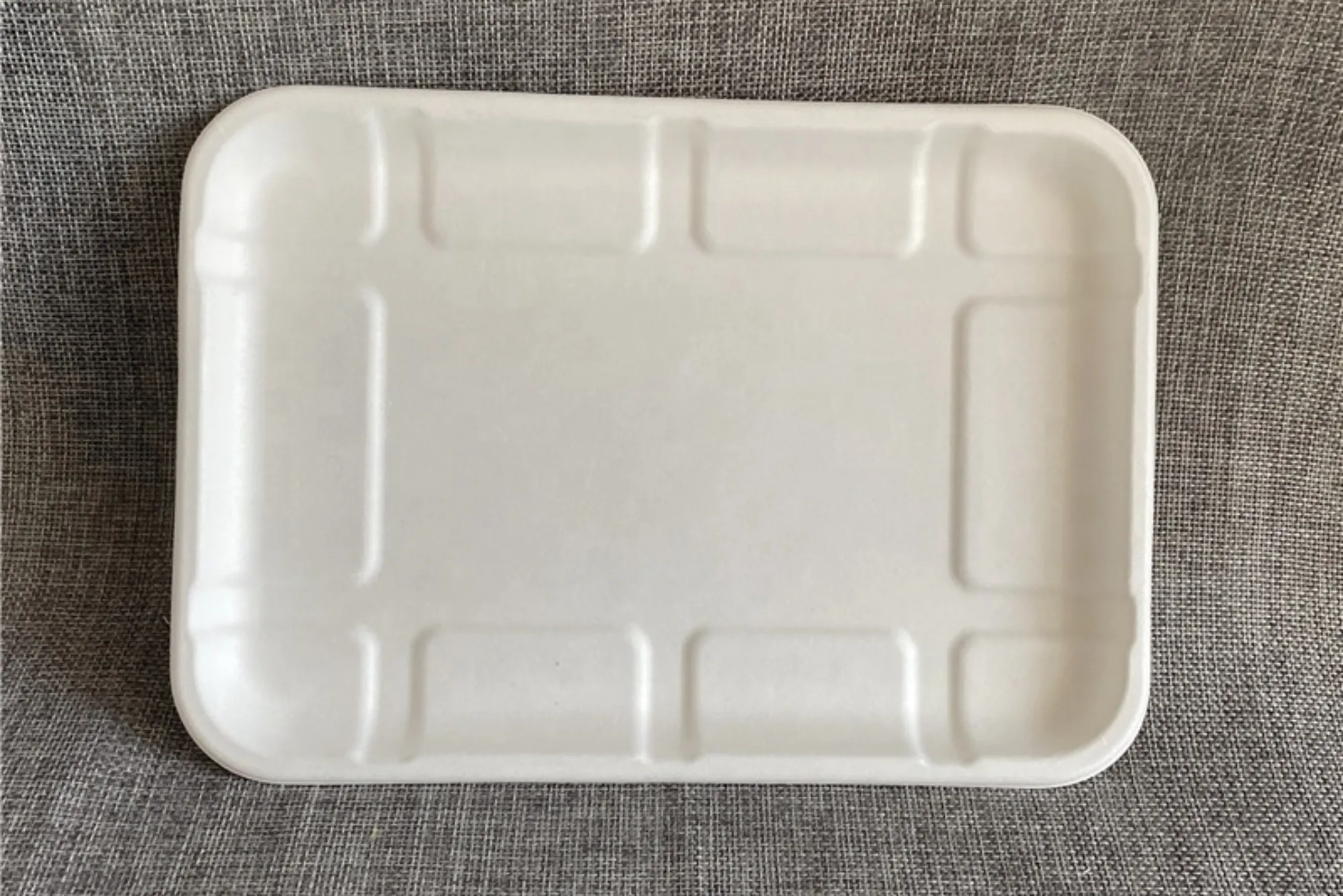 Bagasse Tray