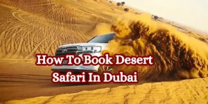 How To Book Desert Safari In Dubai