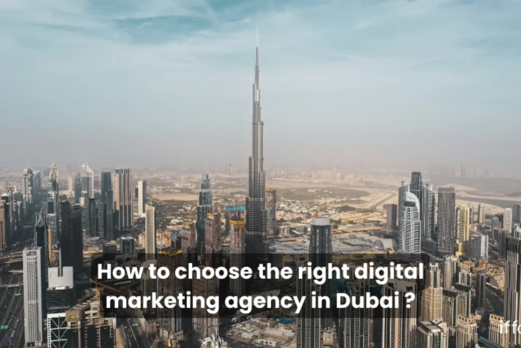 Making the Right Decision: Agency or In-House Web Development in Duba