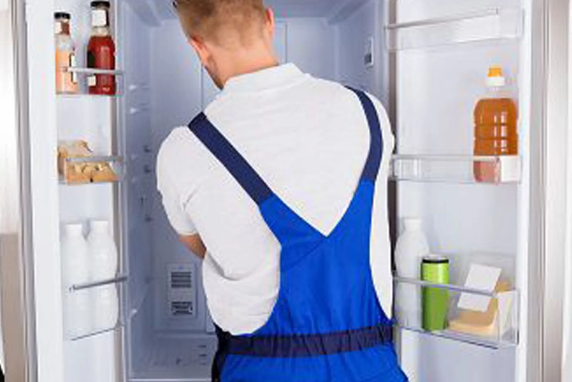 Fridge Repair Near Me Finding the Best Local Services