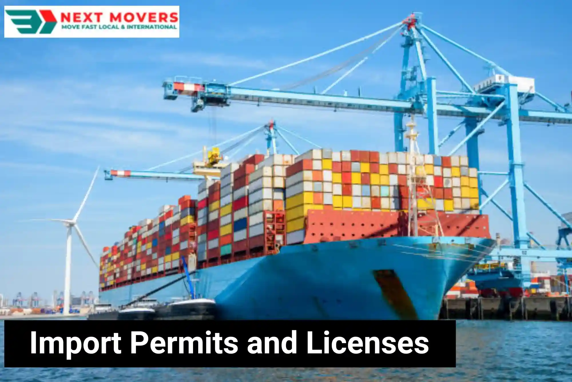 Import Permits and Licenses