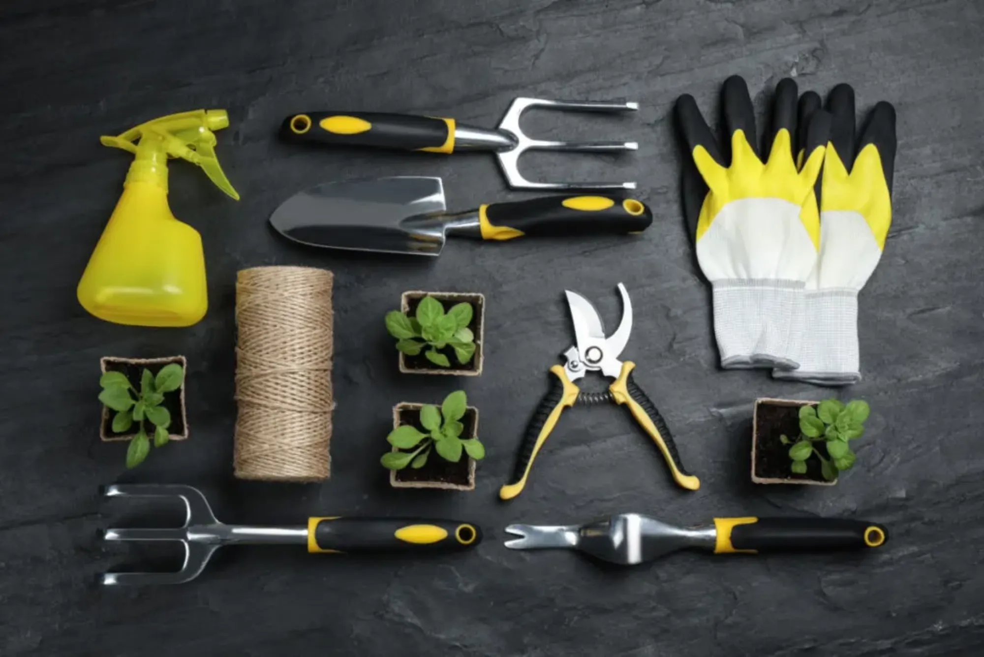 Which Garden Tools Are Best for Small Gardens