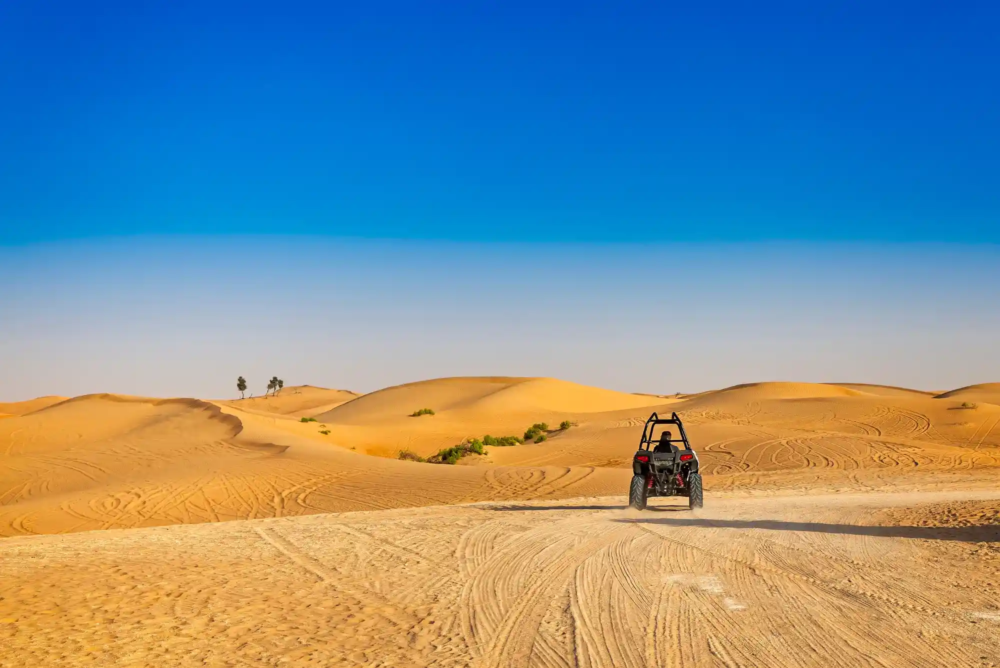 How Fast Can Dune Buggies Go in Dubai