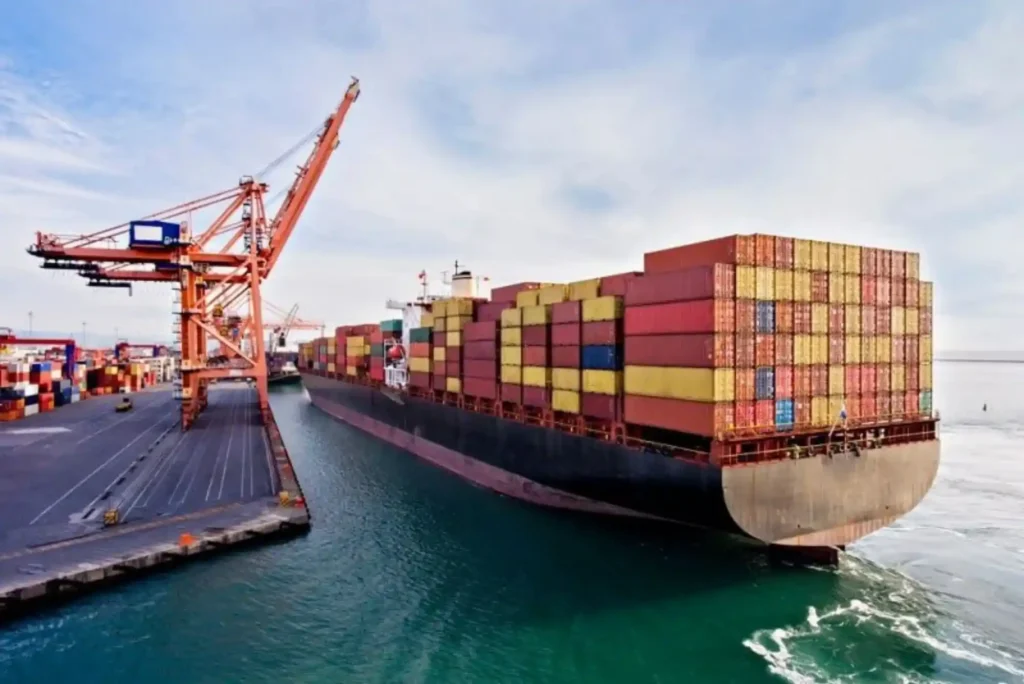 Why You Should Choose Buddy Movers in Dubai for Cargo Shipping